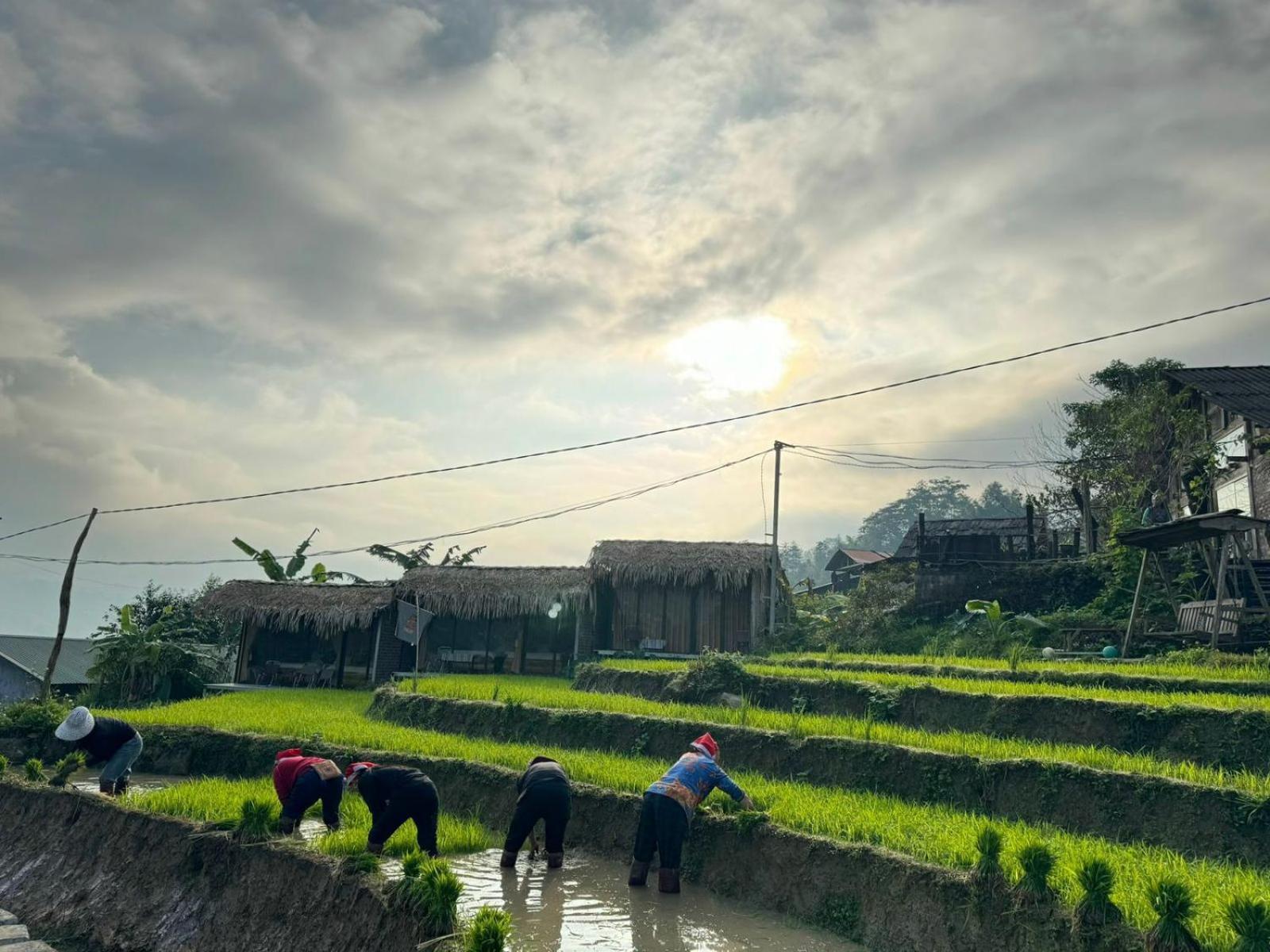 Comlam Eco House Otel Sapa Dış mekan fotoğraf
